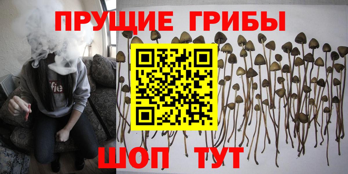 Галлюциногенные грибы мухоморы Рыбинск
