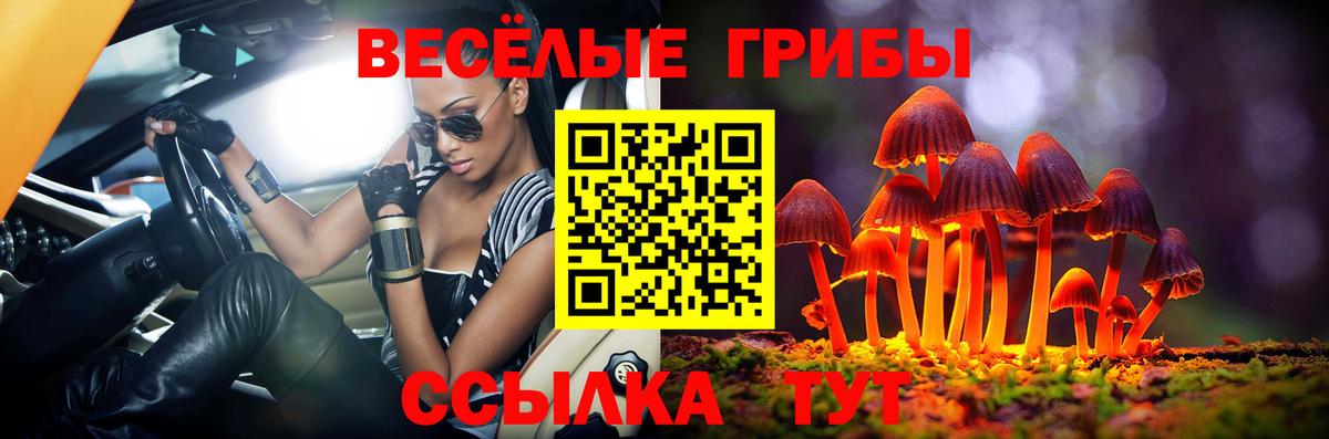 Псилоцибиновые грибы GOLDEN TEACHER  Вход с VPN  купить закладку  Рыбинск 